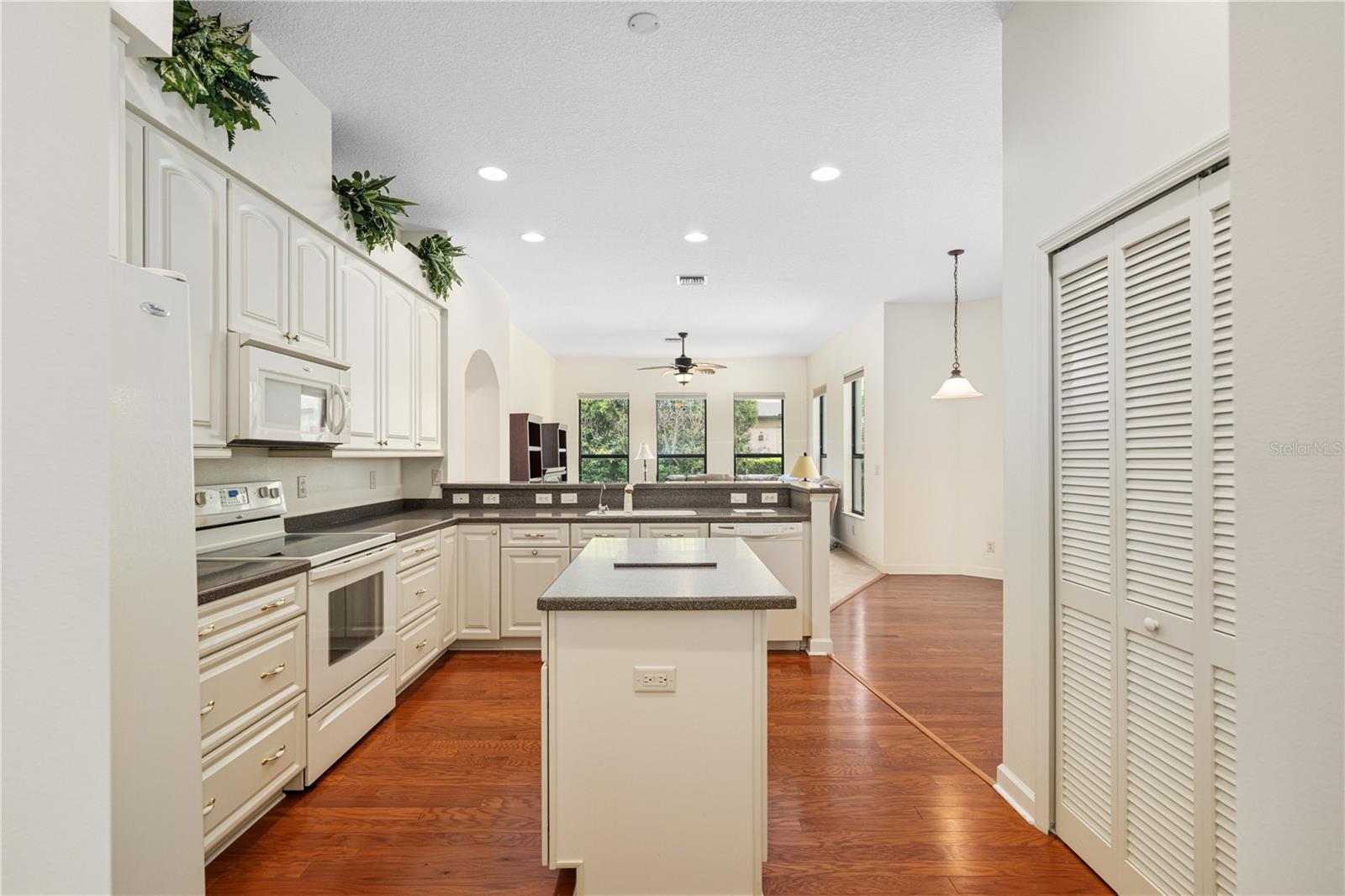 8061 WATERBURY WAY, MOUNT DORA, FL, 32757