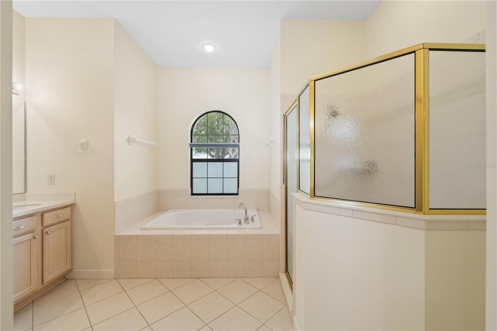 8061 WATERBURY WAY, MOUNT DORA, FL, 32757