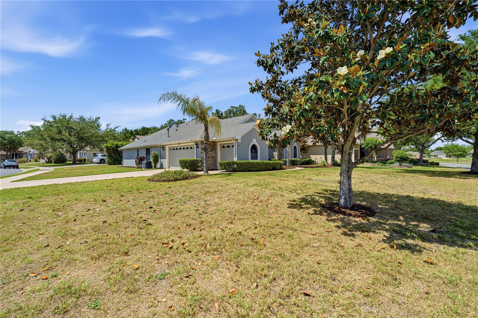 8061 WATERBURY WAY, MOUNT DORA, FL, 32757