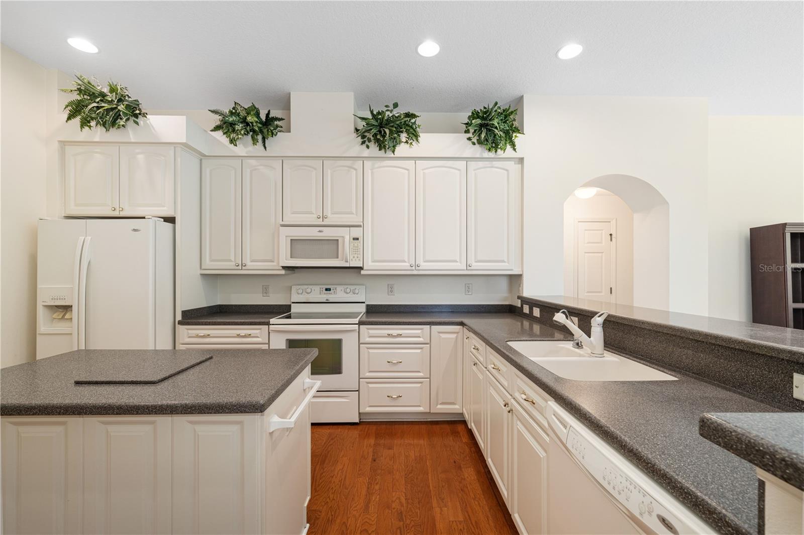 8061 WATERBURY WAY, MOUNT DORA, FL, 32757