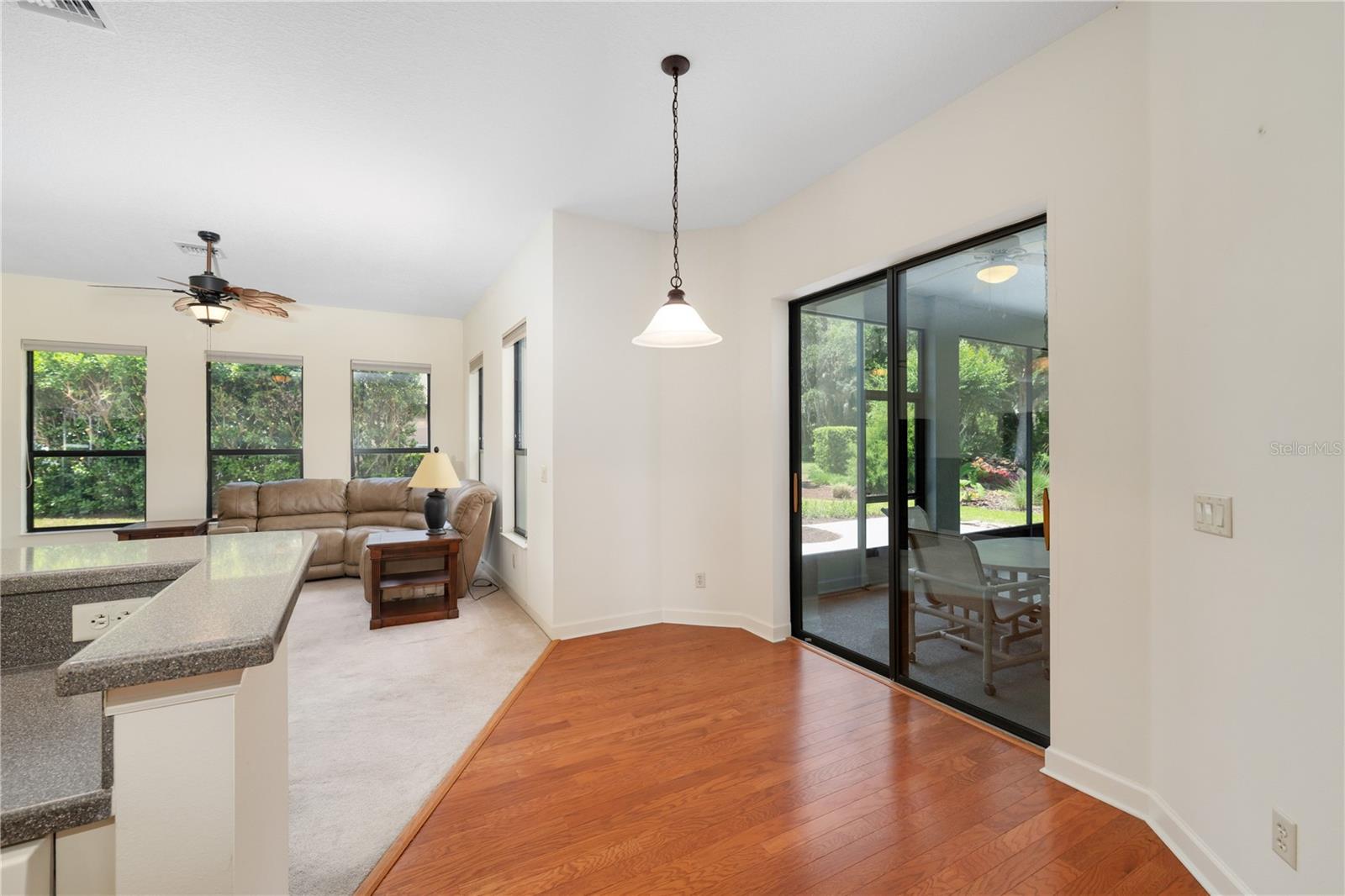 8061 WATERBURY WAY, MOUNT DORA, FL, 32757