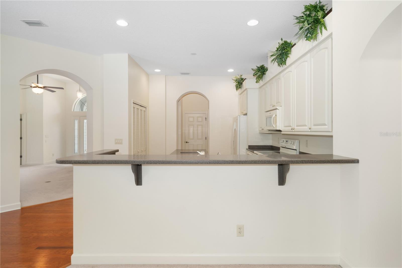 8061 WATERBURY WAY, MOUNT DORA, FL, 32757