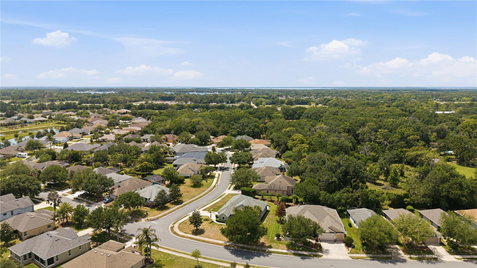 8061 WATERBURY WAY, MOUNT DORA, FL, 32757