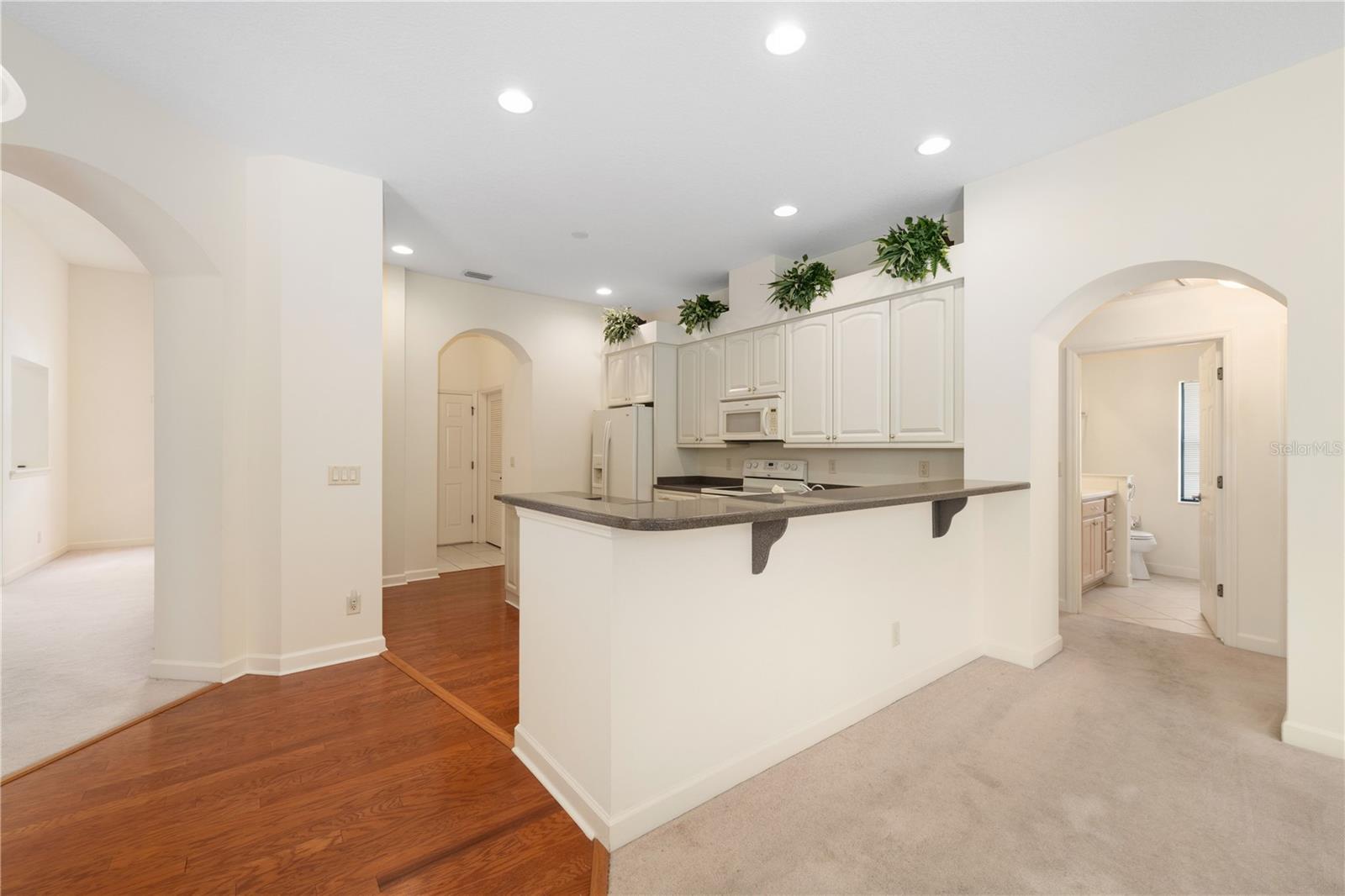 8061 WATERBURY WAY, MOUNT DORA, FL, 32757