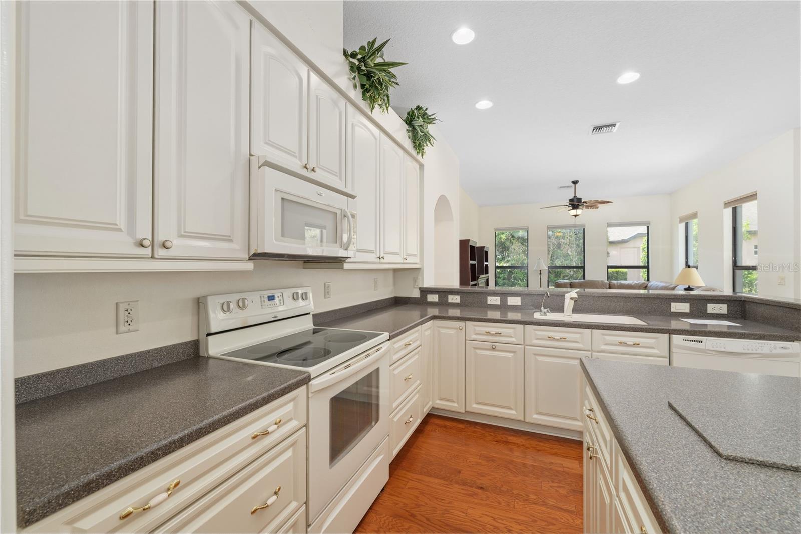 8061 WATERBURY WAY, MOUNT DORA, FL, 32757