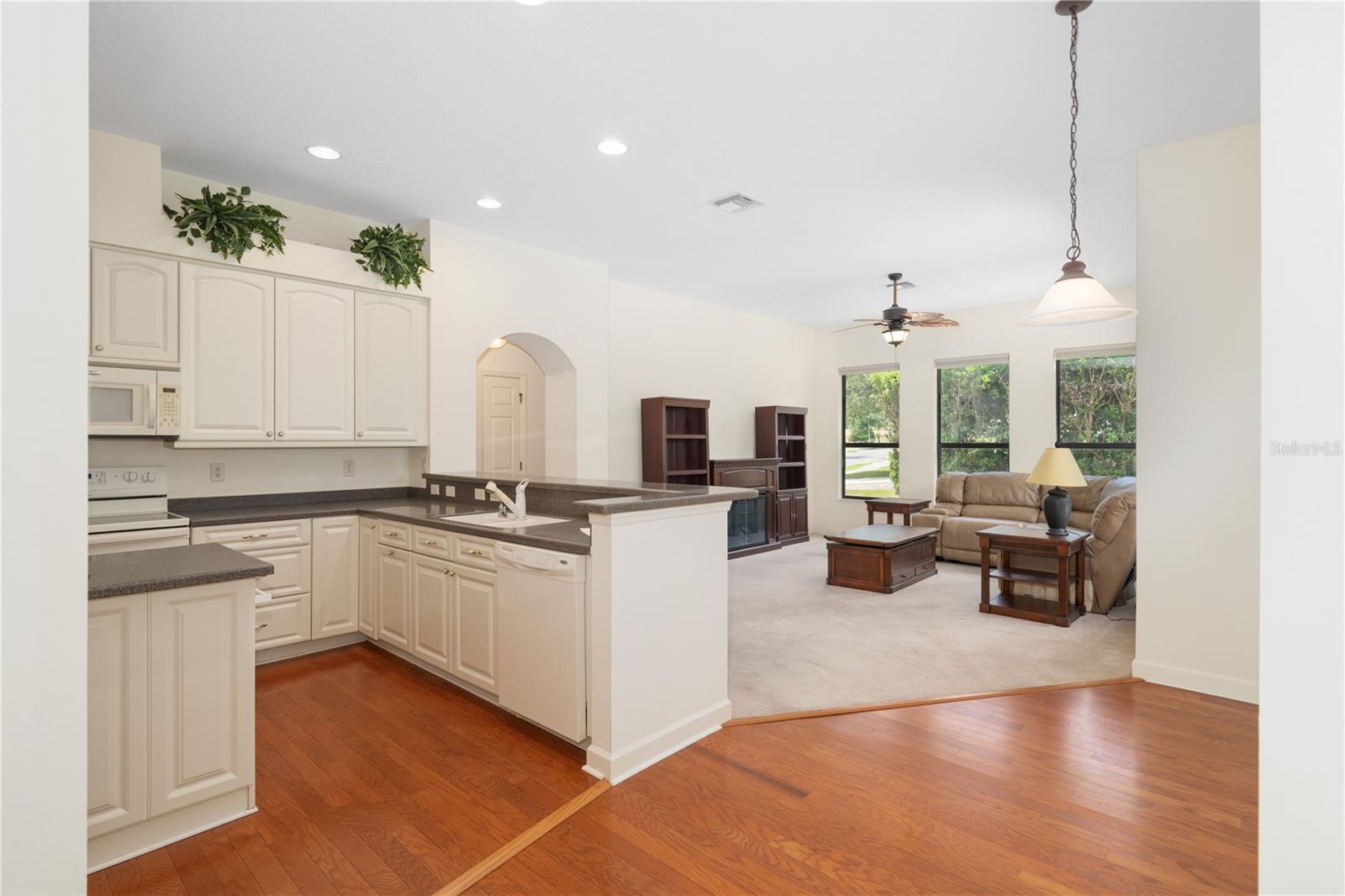 8061 WATERBURY WAY, MOUNT DORA, FL, 32757