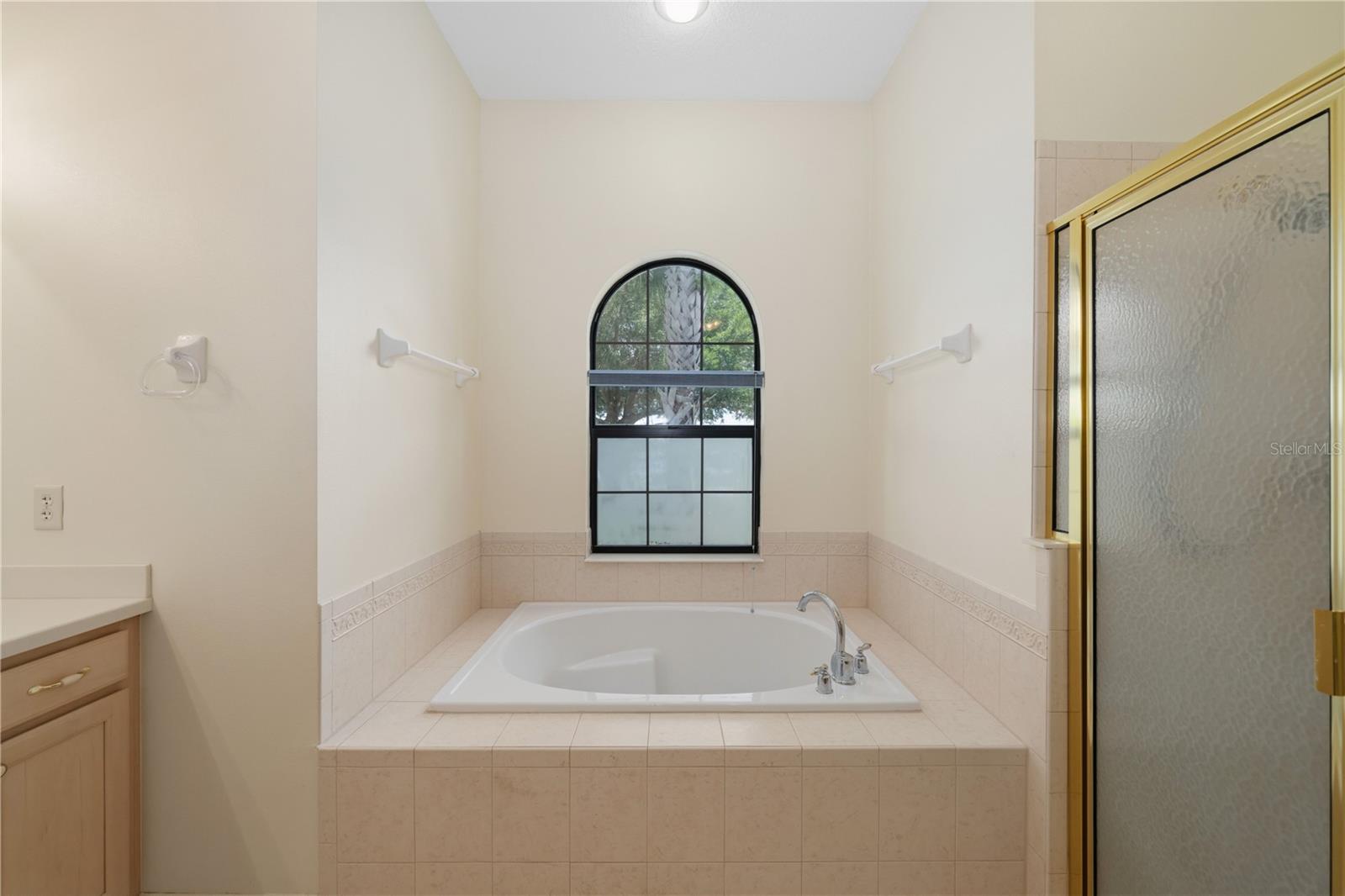 8061 WATERBURY WAY, MOUNT DORA, FL, 32757