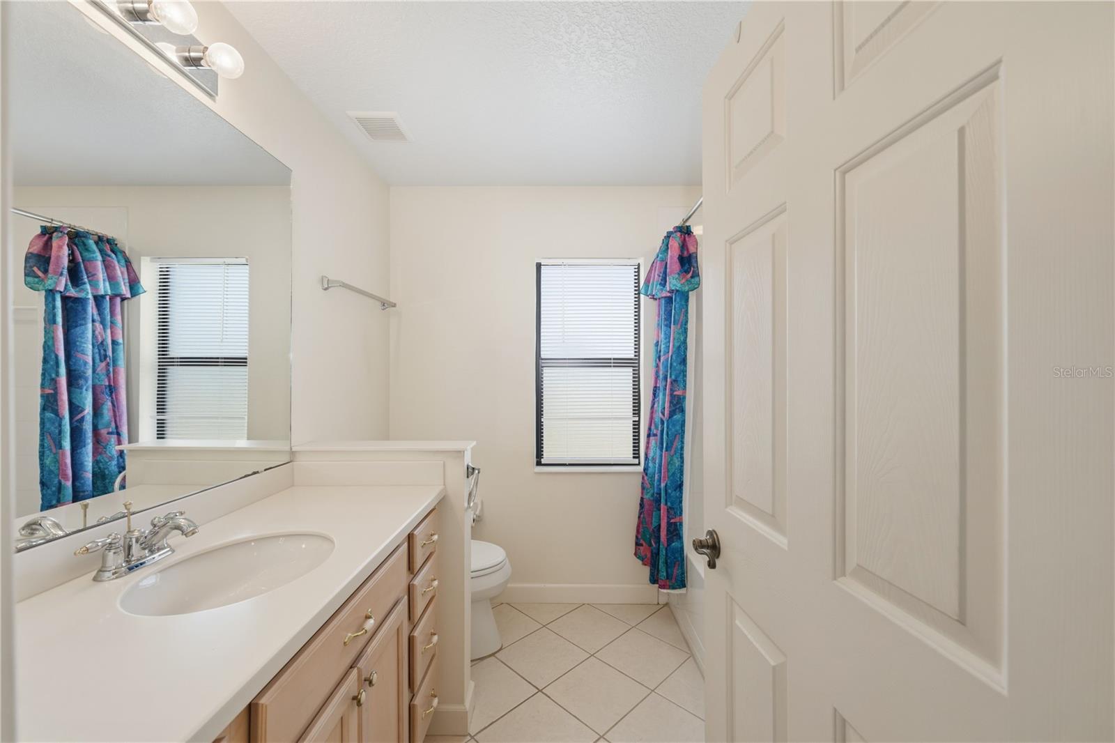 8061 WATERBURY WAY, MOUNT DORA, FL, 32757