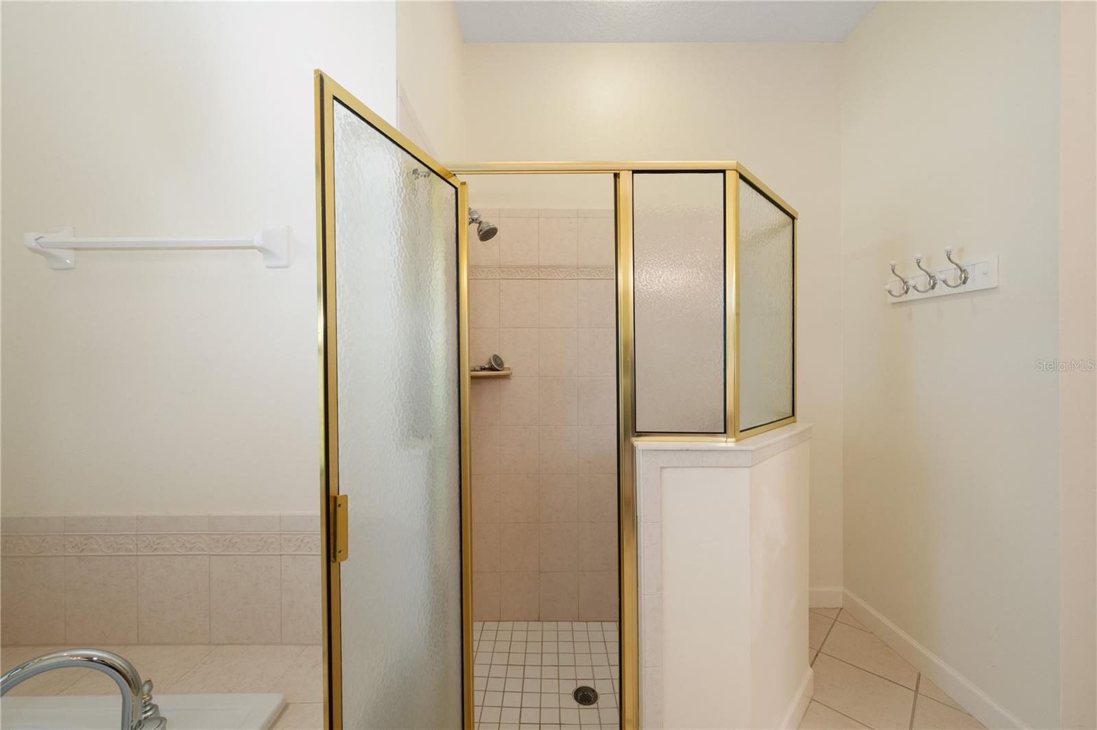 8061 WATERBURY WAY, MOUNT DORA, FL, 32757