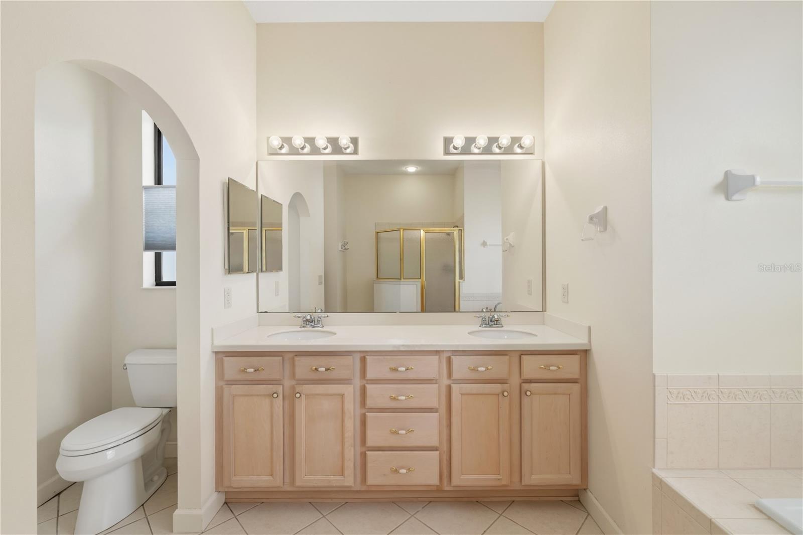 8061 WATERBURY WAY, MOUNT DORA, FL, 32757