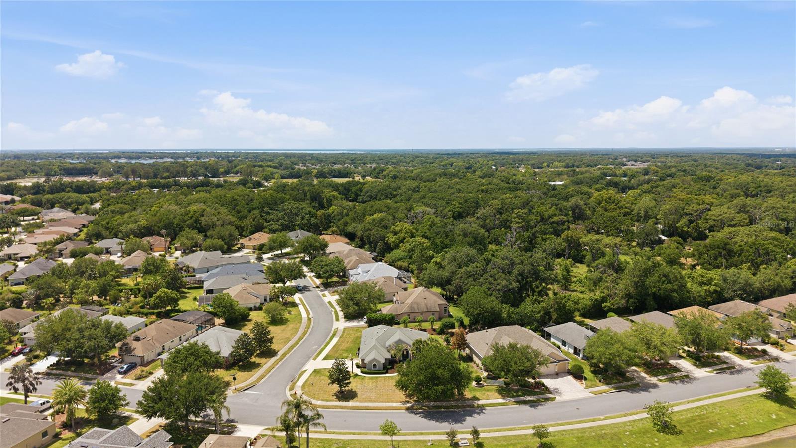 8061 WATERBURY WAY, MOUNT DORA, FL, 32757