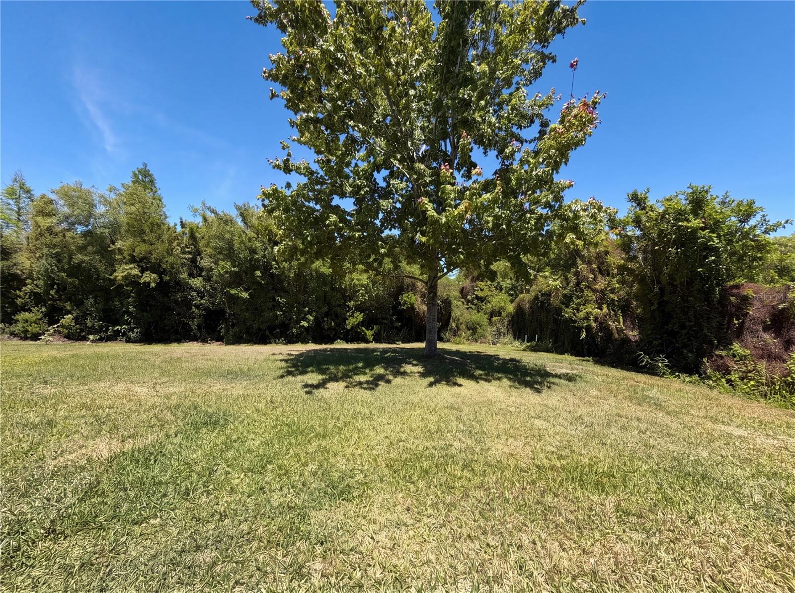 14405 SCOTTBURGH GLEN DR, WIMAUMA, FL, 33598