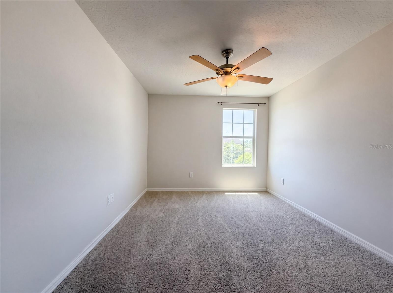 14405 SCOTTBURGH GLEN DR, WIMAUMA, FL, 33598