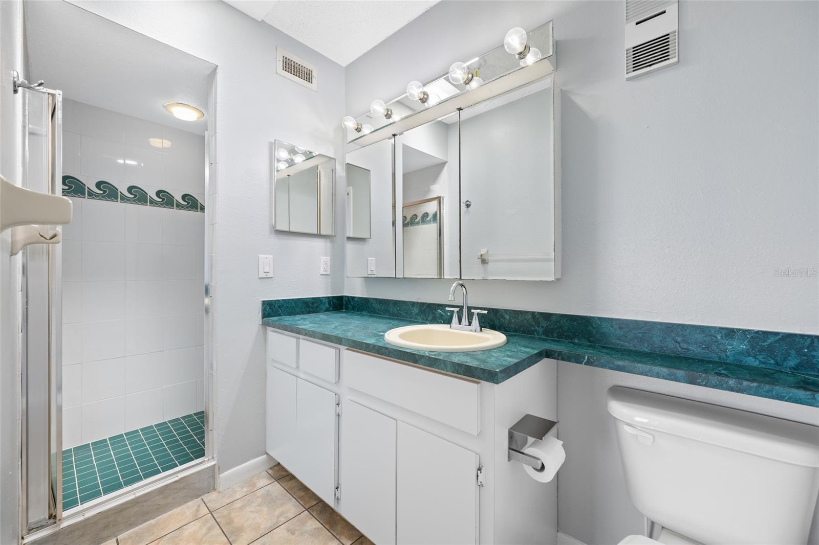 12424 CAPRI CIR N #5, TREASURE ISLAND, FL, 33706