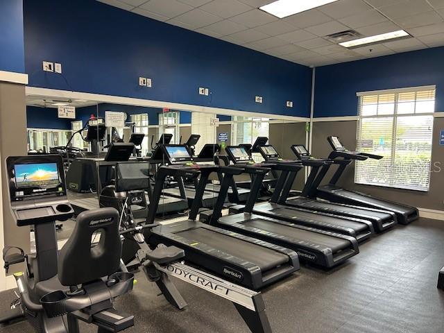 9750 CAMPANULA CT, LAND O LAKES, FL, 34638