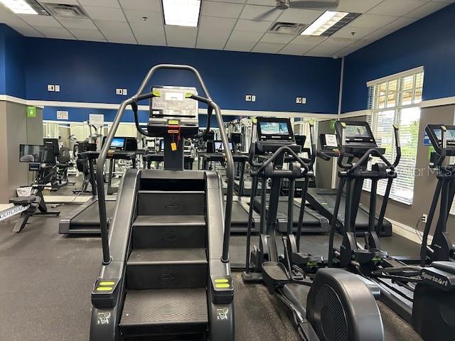 9750 CAMPANULA CT, LAND O LAKES, FL, 34638