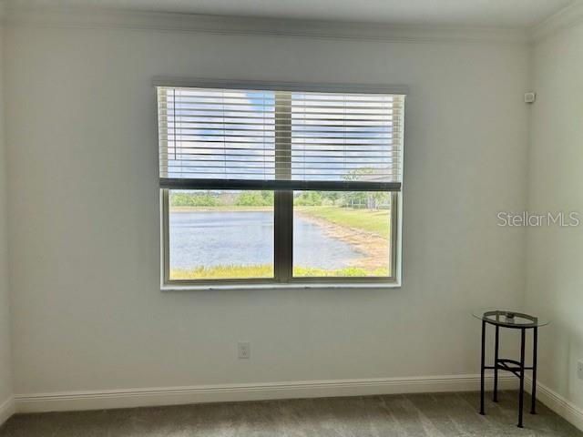 9750 CAMPANULA CT, LAND O LAKES, FL, 34638