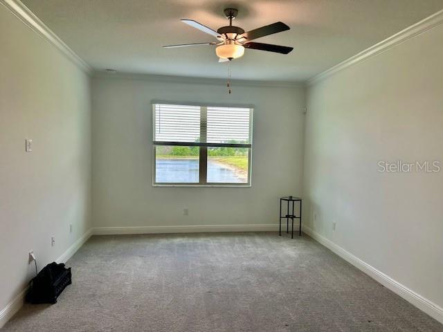 9750 CAMPANULA CT, LAND O LAKES, FL, 34638