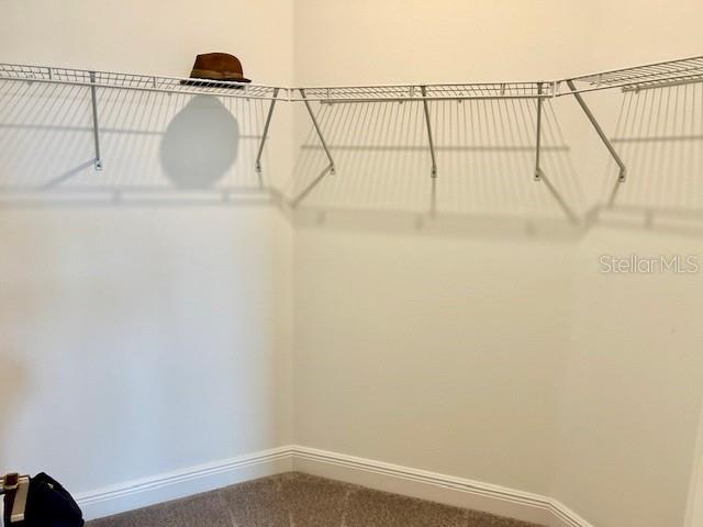 9750 CAMPANULA CT, LAND O LAKES, FL, 34638