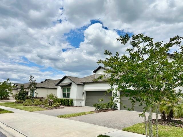 9750 CAMPANULA CT, LAND O LAKES, FL, 34638