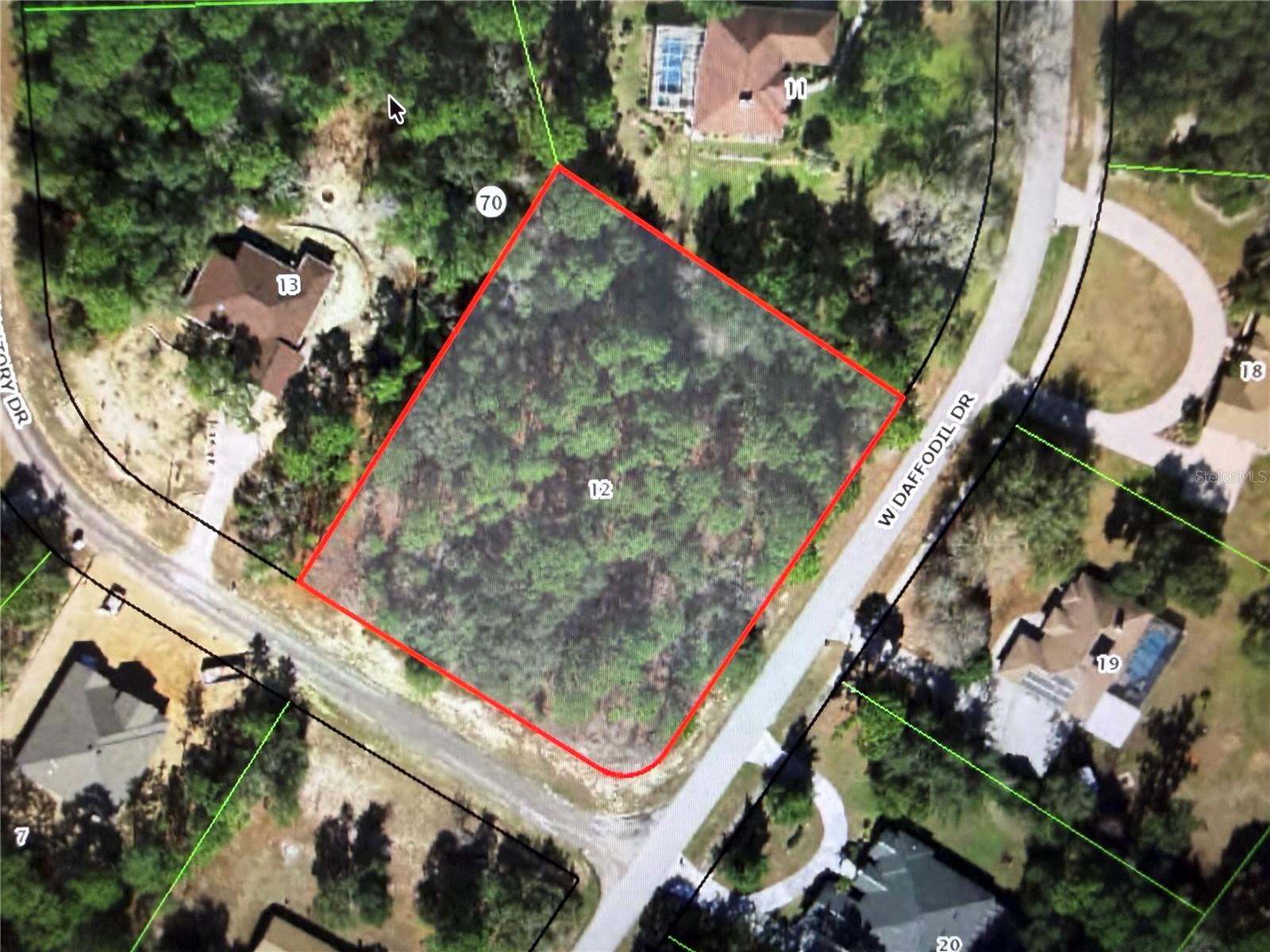 3311 W DAFFODIL DR, BEVERLY HILLS, FL, 34465