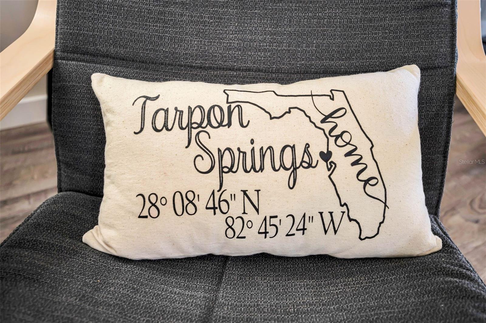 1250 S PINELLAS AVE #205, TARPON SPRINGS, FL, 34689