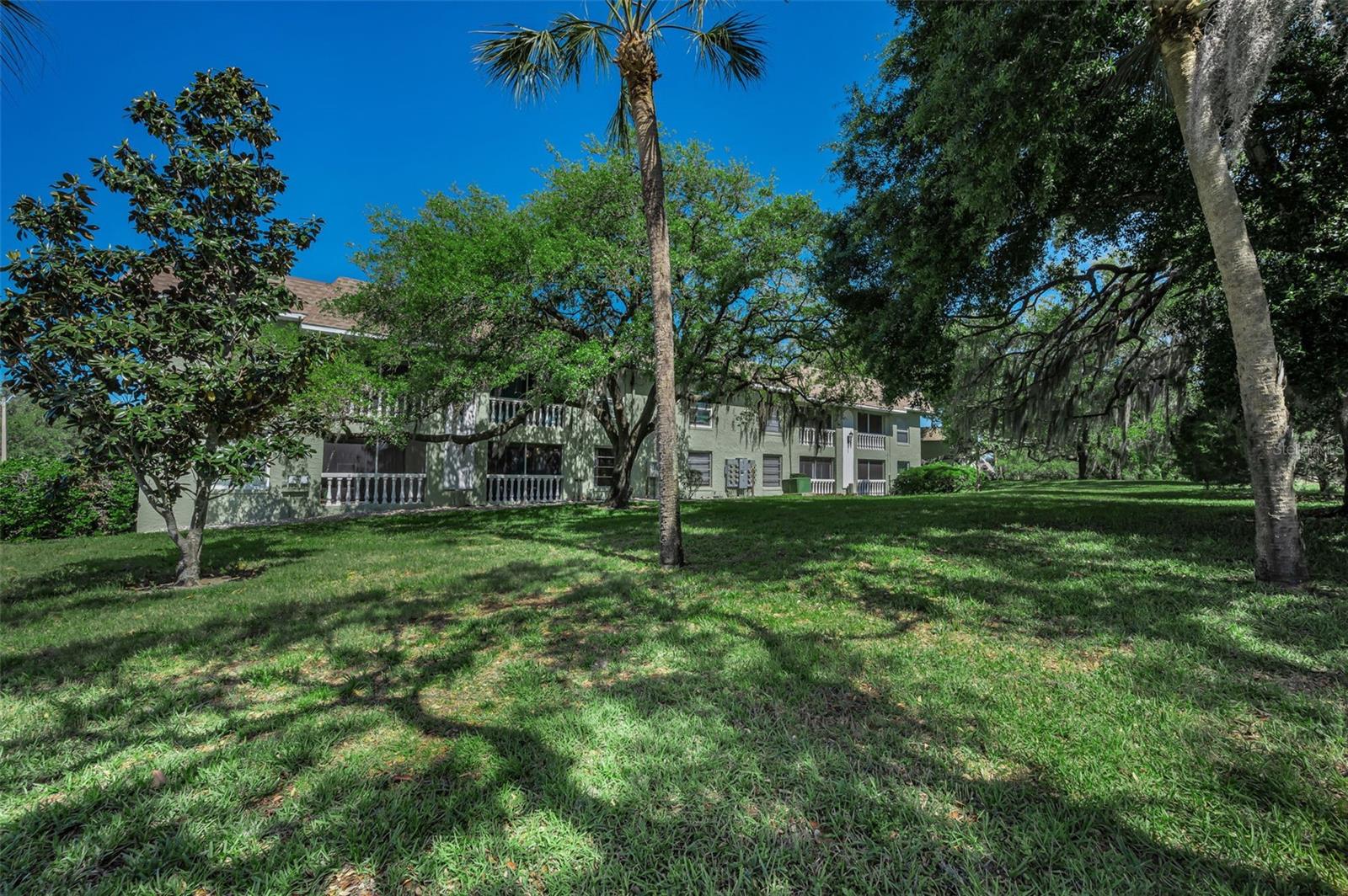 1250 S PINELLAS AVE #205, TARPON SPRINGS, FL, 34689