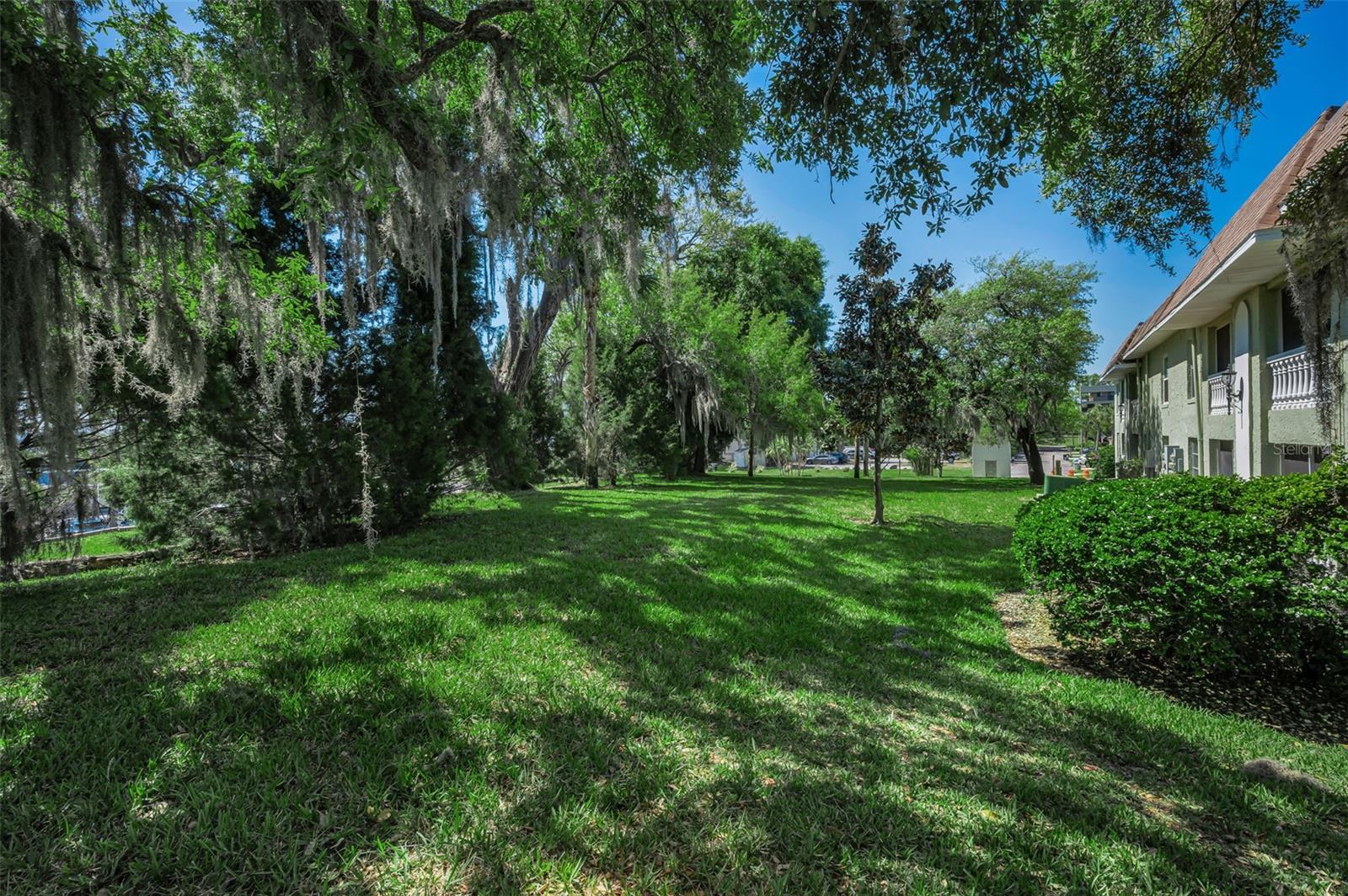 1250 S PINELLAS AVE #205, TARPON SPRINGS, FL, 34689