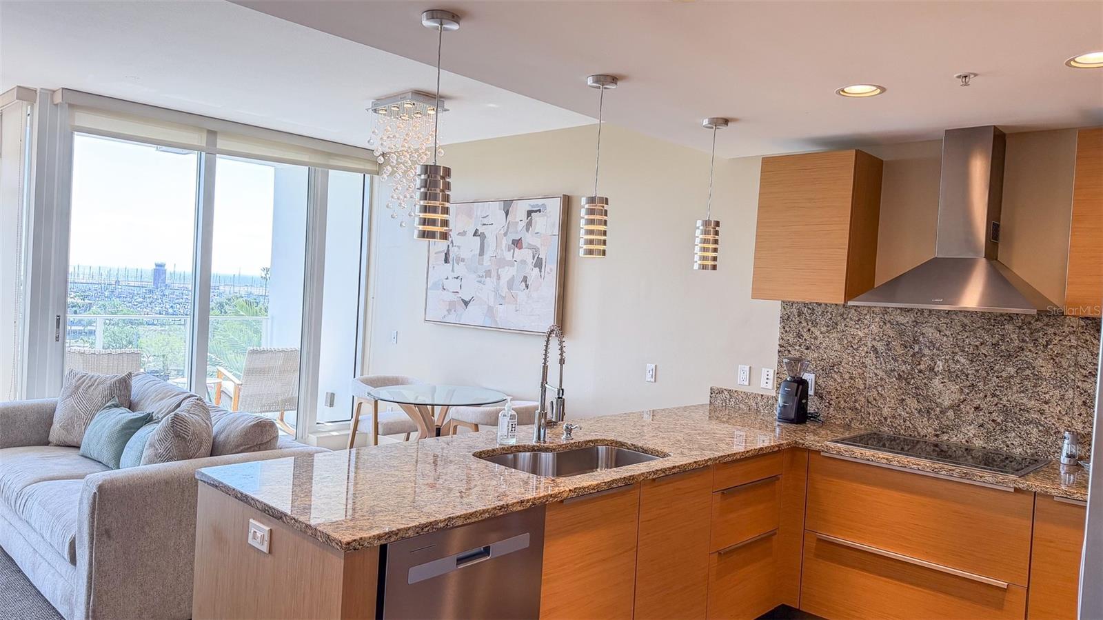 175 1ST ST S #511, ST PETERSBURG, FL, 33701