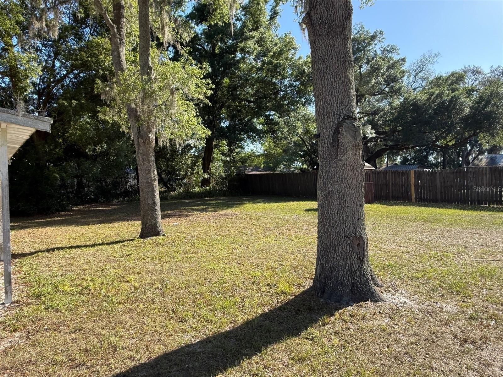 38038 CAT AVE, ZEPHYRHILLS, FL, 33541