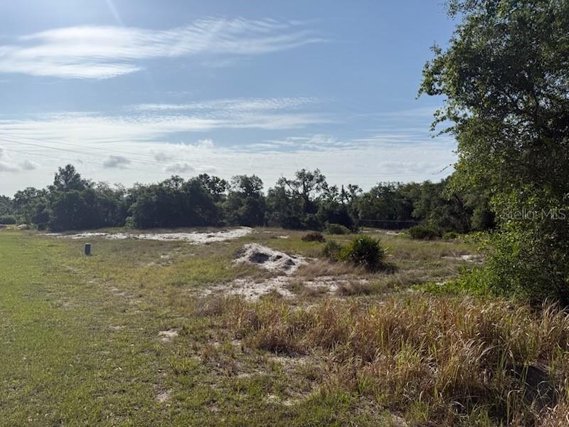 CEDARWOOD DR, LAKE WALES, FL, 33898