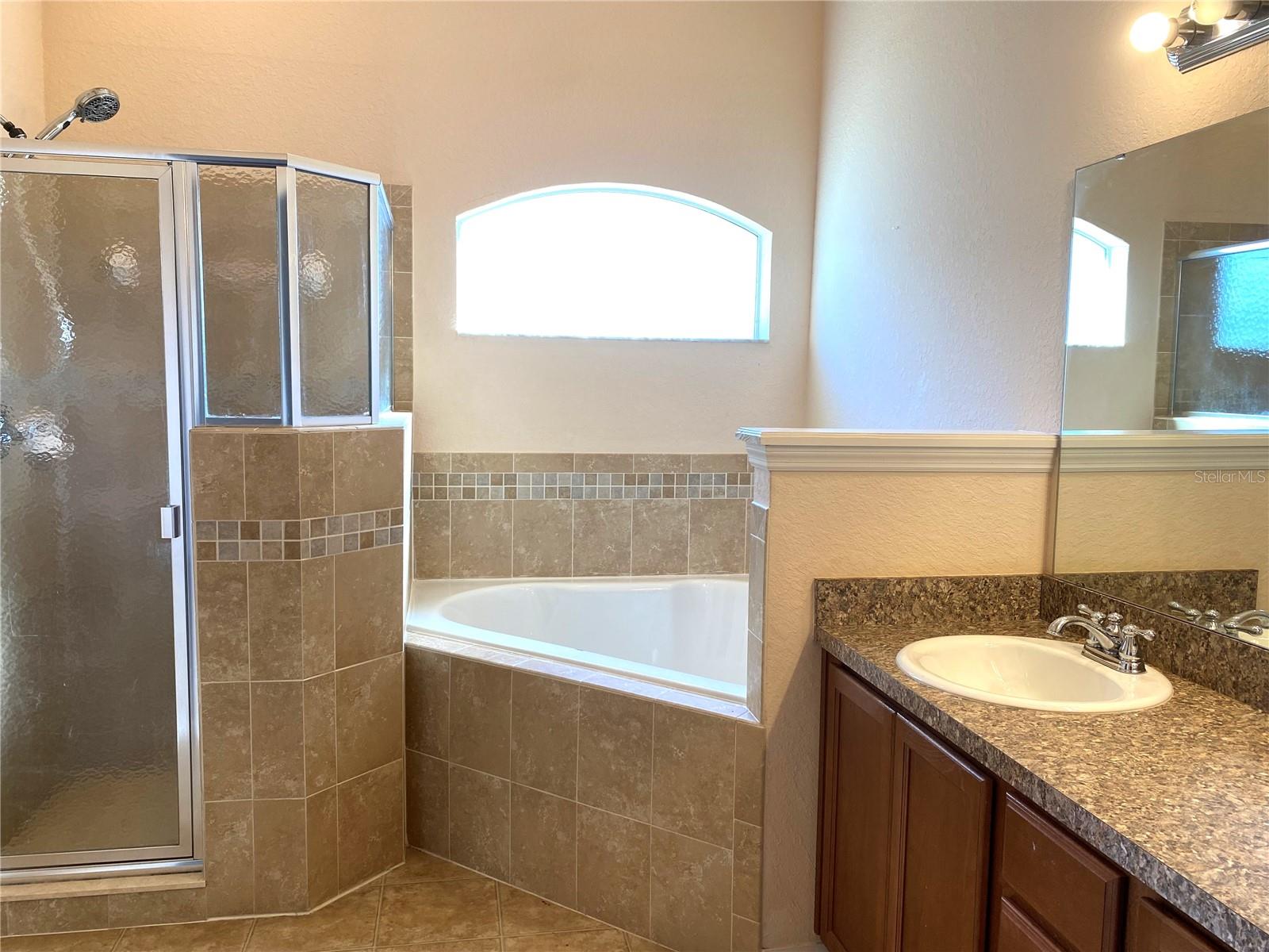 250 HIGHLAND MEADOWS CT, DAVENPORT, FL, 33837