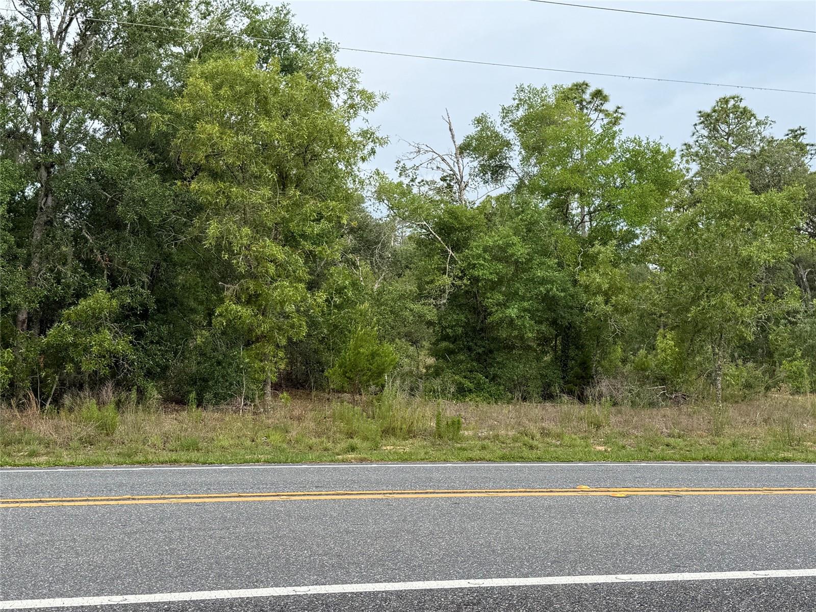 11656 S FLORIDA AVE, FLORAL CITY, FL, 34436