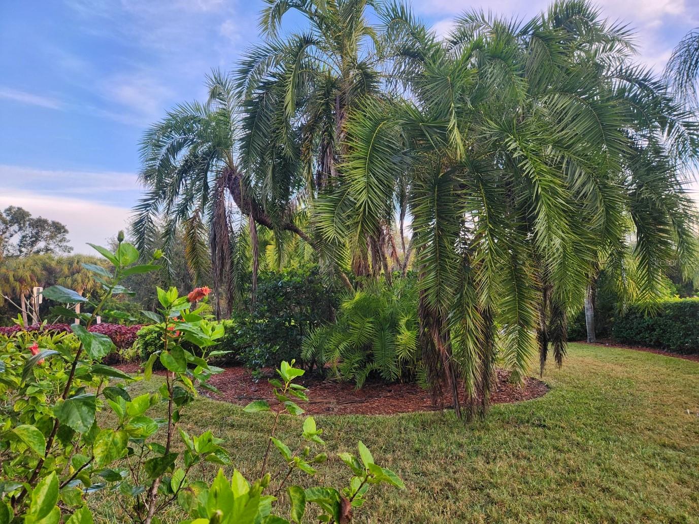 4442 CORSO VENETIA BLVD #A14, VENICE, FL, 34293