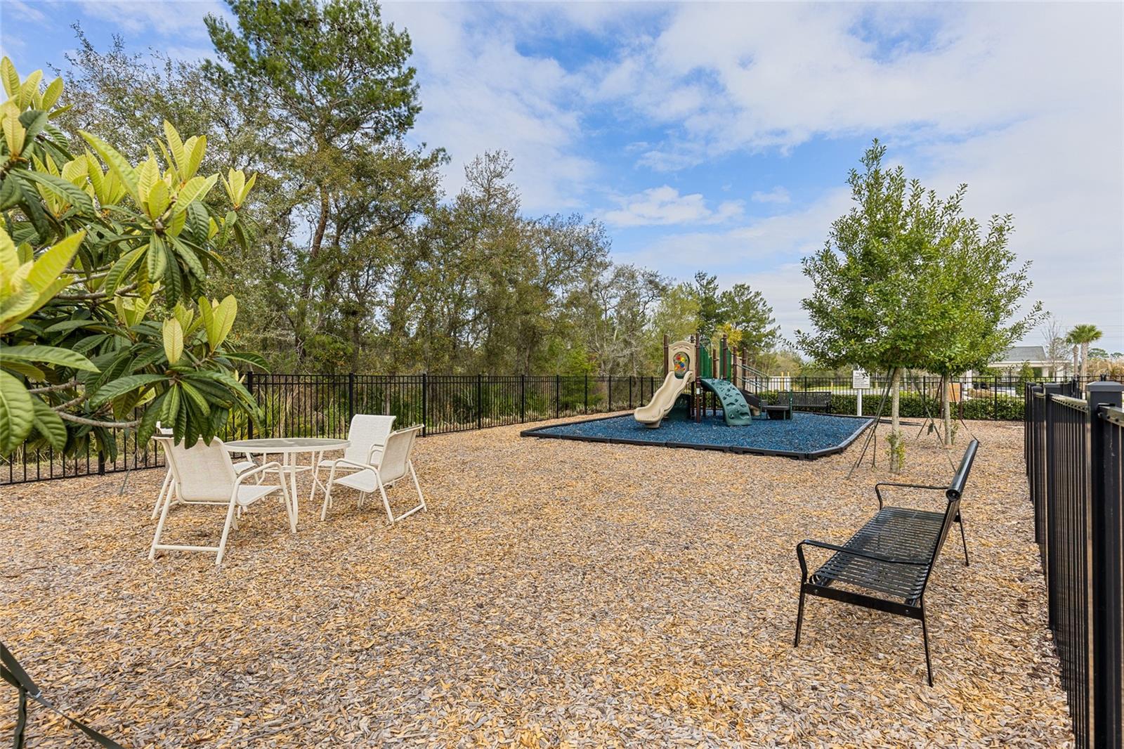 819 LILIANA DR, DELAND, FL, 32724