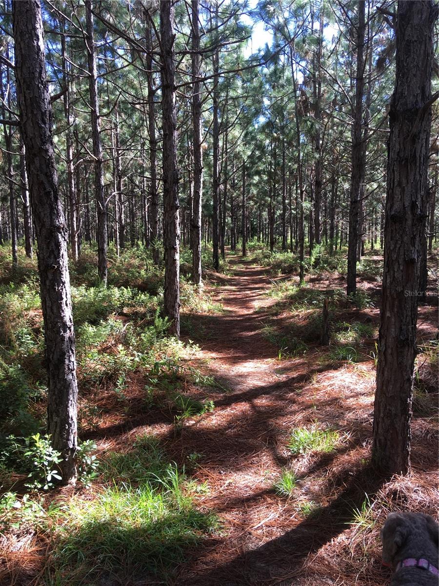 1069 SE 57TH AVE, OCALA, FL, 34480