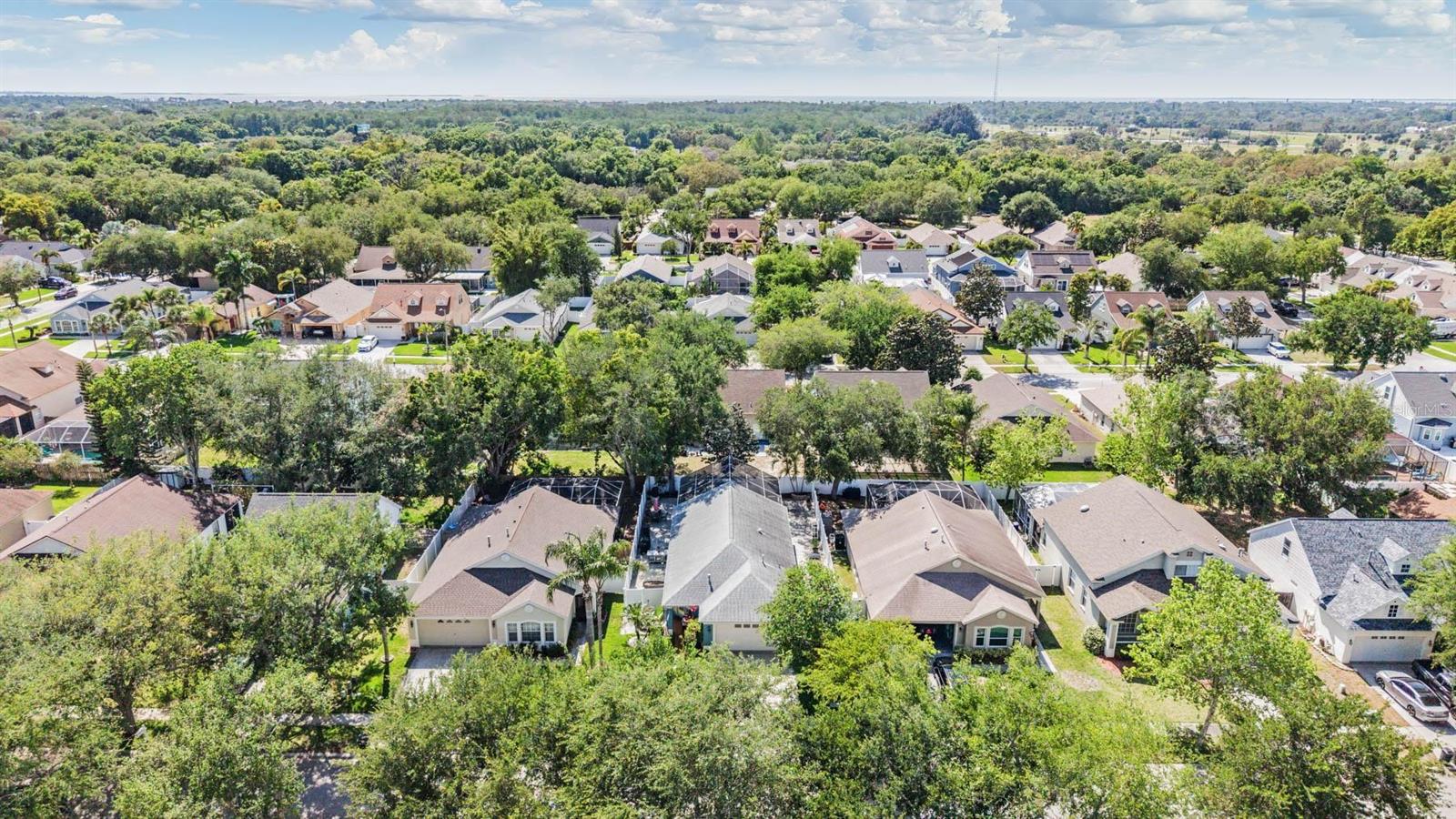 1686 OAK SPRING DR, TARPON SPRINGS, FL, 34689