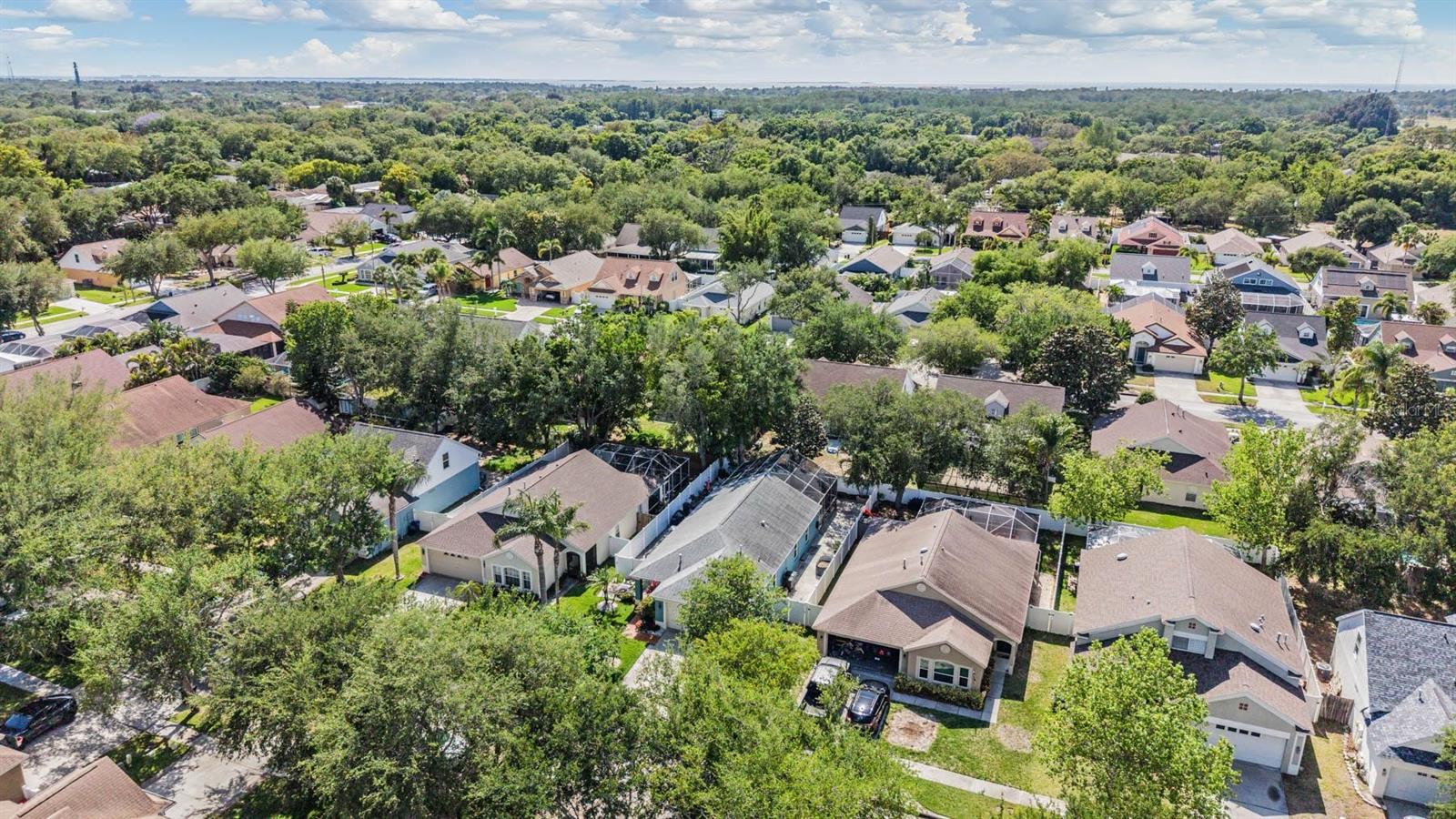 1686 OAK SPRING DR, TARPON SPRINGS, FL, 34689