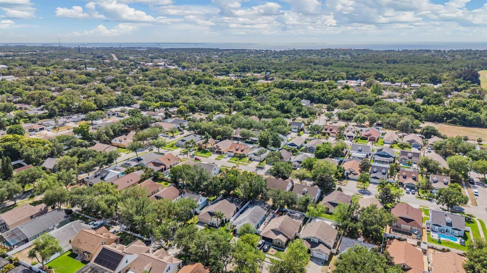 1686 OAK SPRING DR, TARPON SPRINGS, FL, 34689