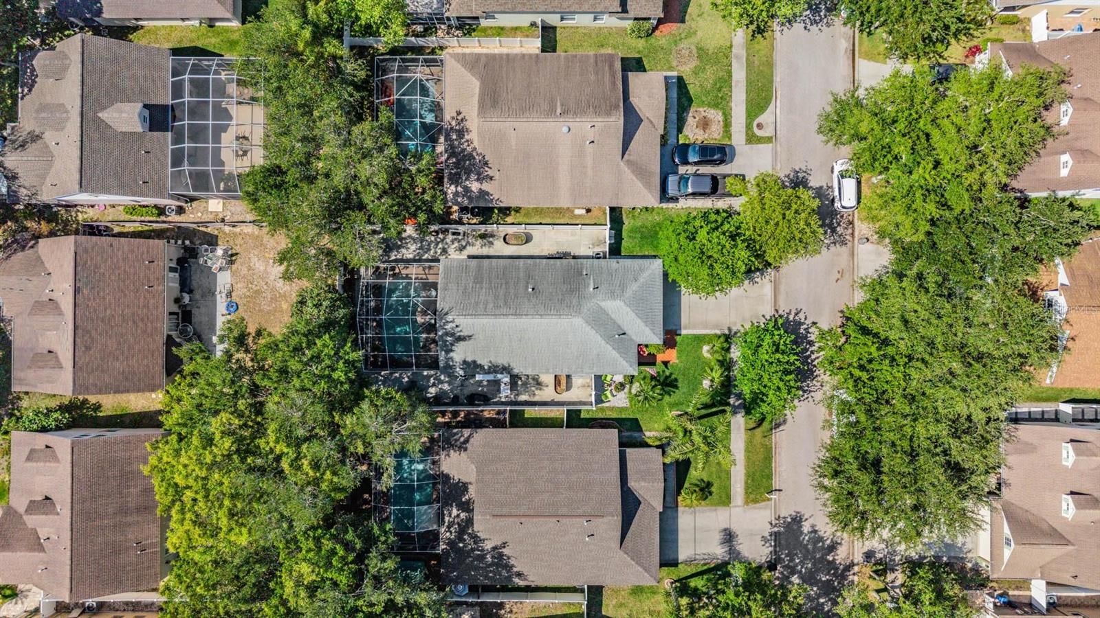 1686 OAK SPRING DR, TARPON SPRINGS, FL, 34689