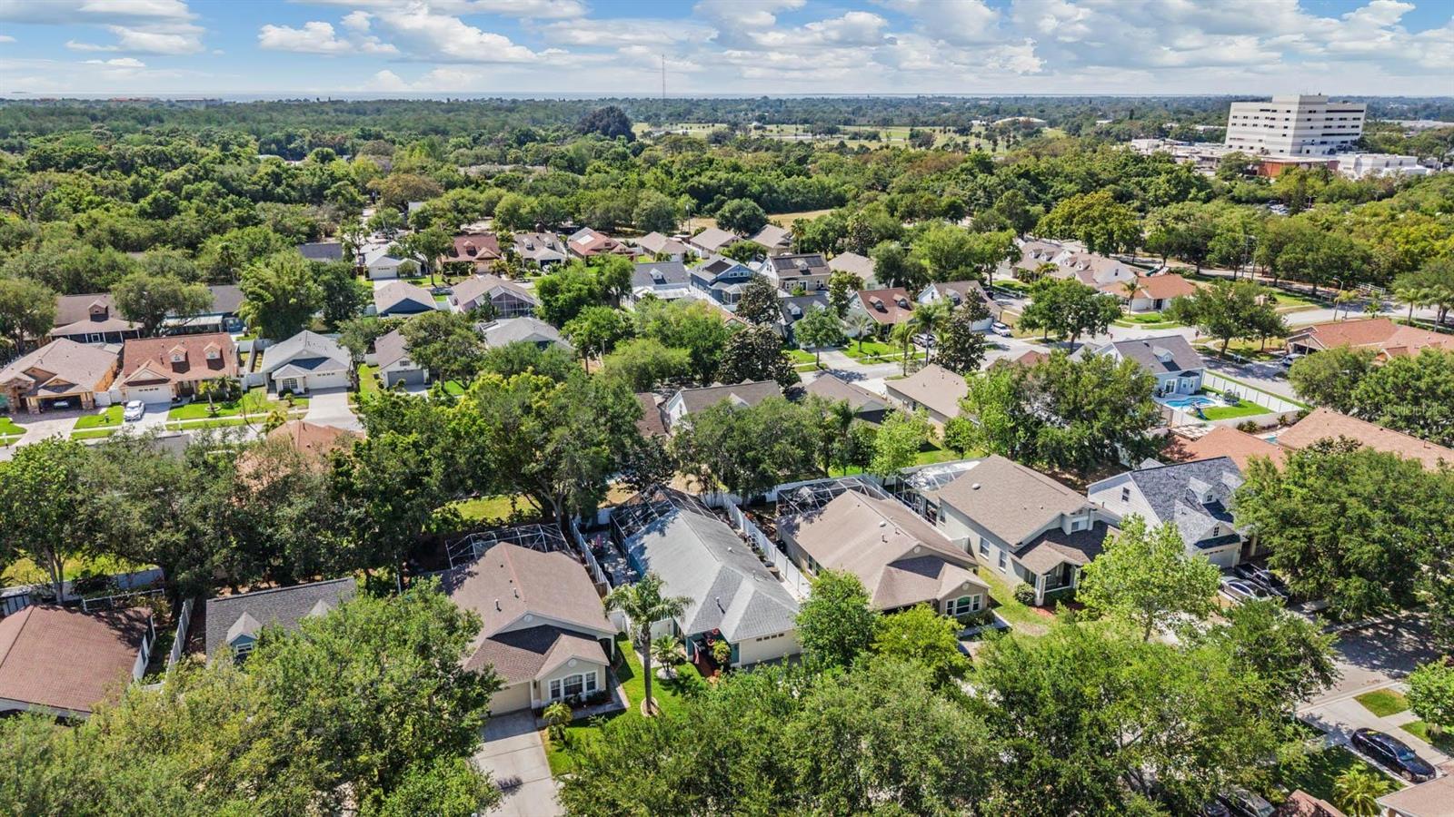 1686 OAK SPRING DR, TARPON SPRINGS, FL, 34689