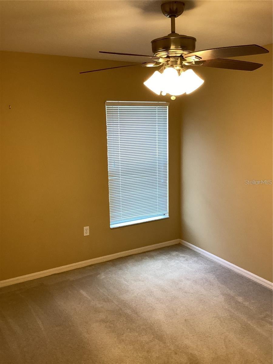 29647 FOG HOLLOW DR, WESLEY CHAPEL, FL, 33543