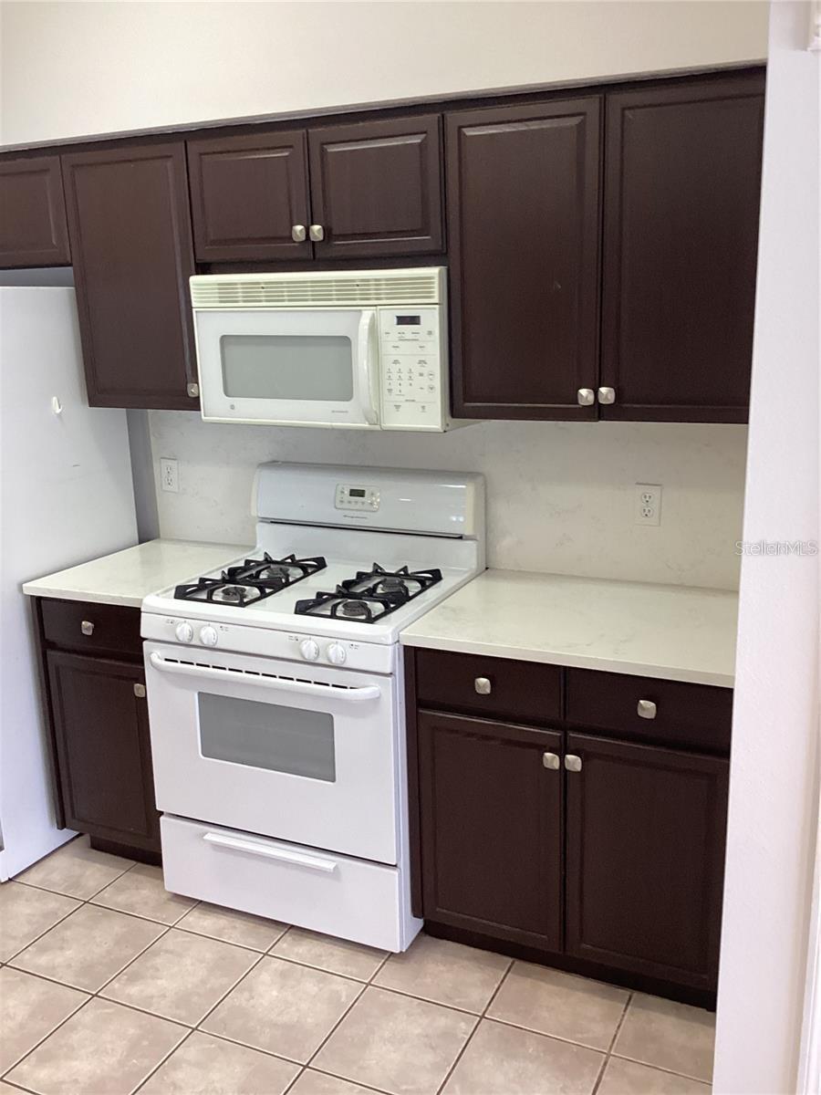 29647 FOG HOLLOW DR, WESLEY CHAPEL, FL, 33543