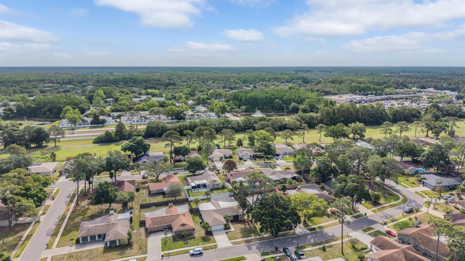 3643 FAIRWAY FOREST CIR, PALM HARBOR, FL, 34685