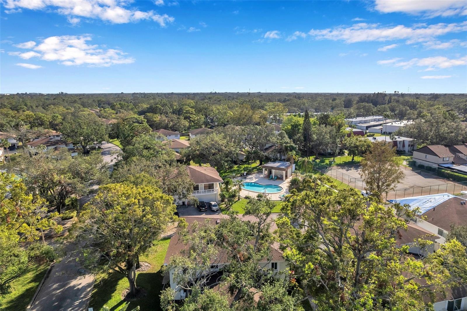 2937 BOUGH AVE #D, CLEARWATER, FL, 33760