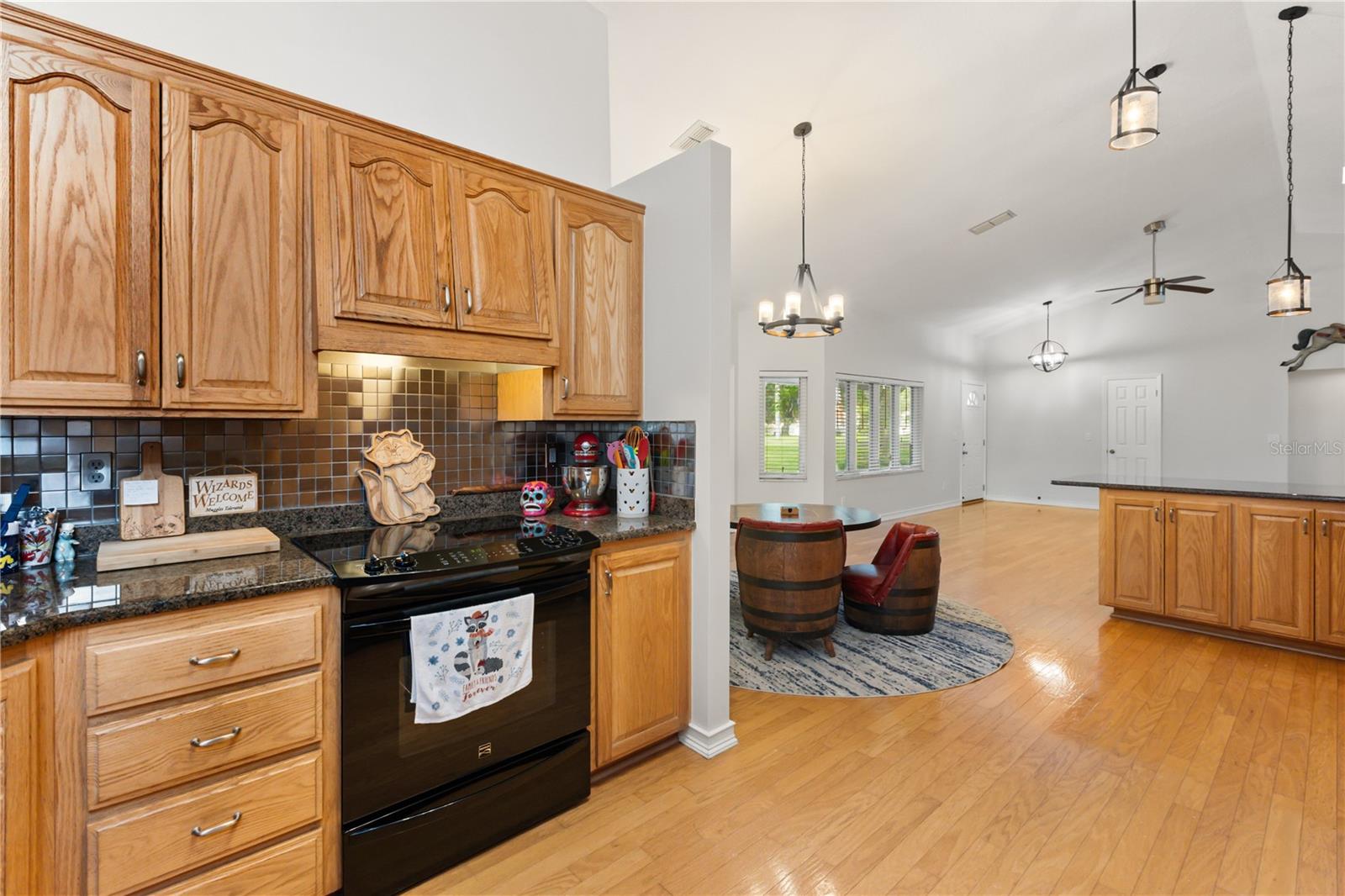 11415 TUSCARORA LN, MINNEOLA, FL, 34715