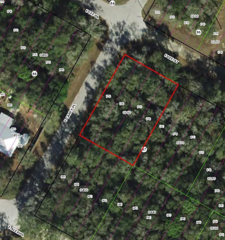 3576 E LEE DR, INVERNESS, FL, 34453