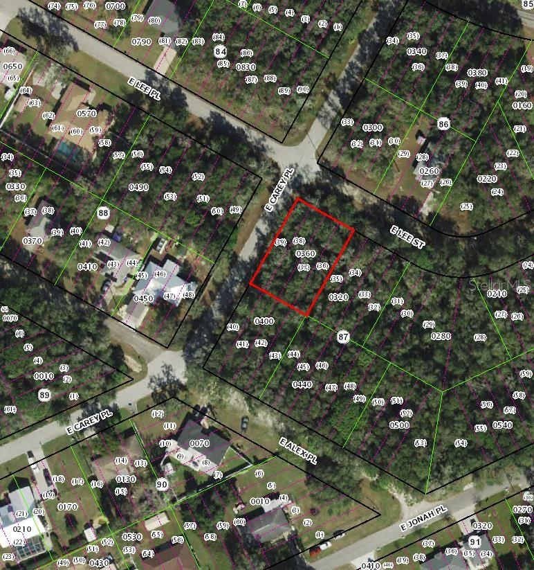 3576 E LEE DR, INVERNESS, FL, 34453