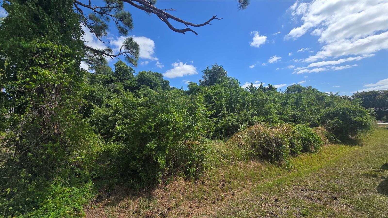 GALE ST, ENGLEWOOD, FL, 34223