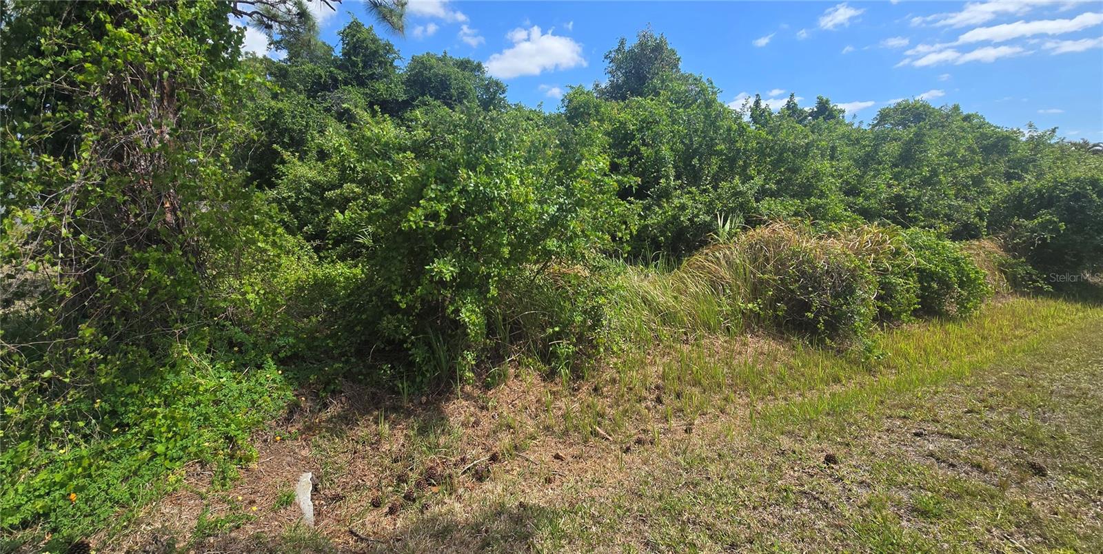 GALE ST, ENGLEWOOD, FL, 34223